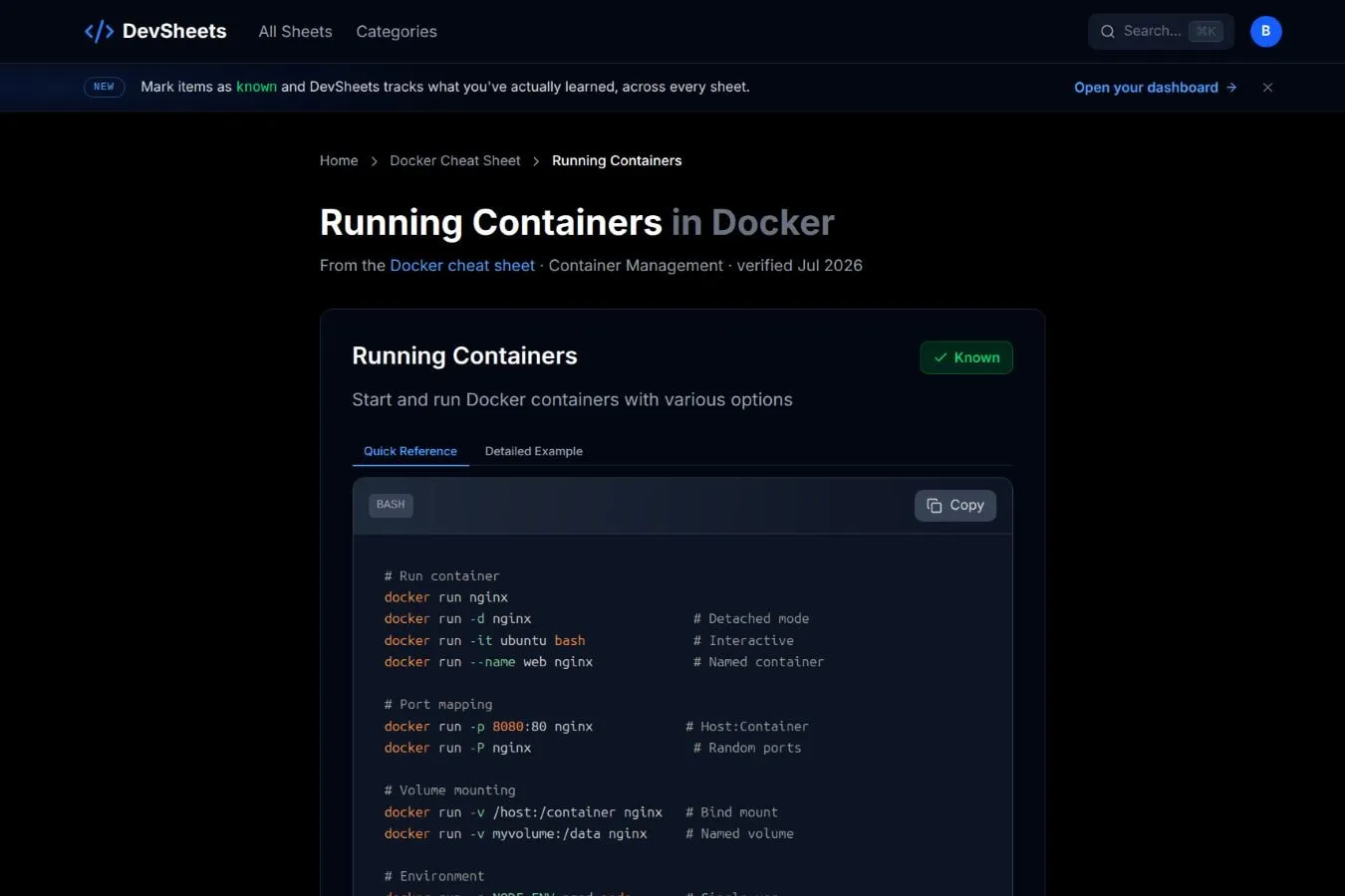 DevSheets Running Containers item page showing its Known status and Docker command reference